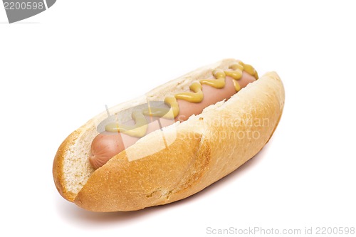 Image of An old-fashioned hot dog with mustard