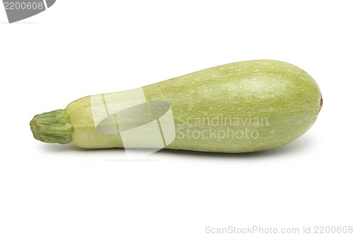 Image of Fresh marrow vegetable. Isolated on white background