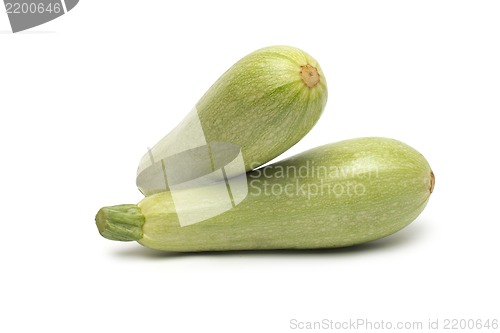 Image of Fresh marrow vegetable. Isolated on white background