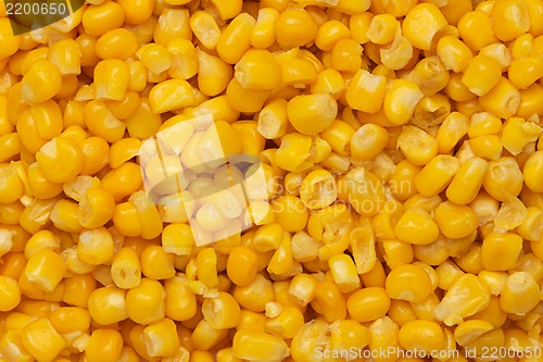 Image of Canned corn background