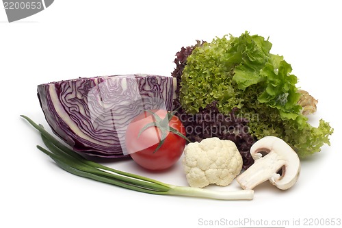 Image of fresh vegetables on the white background