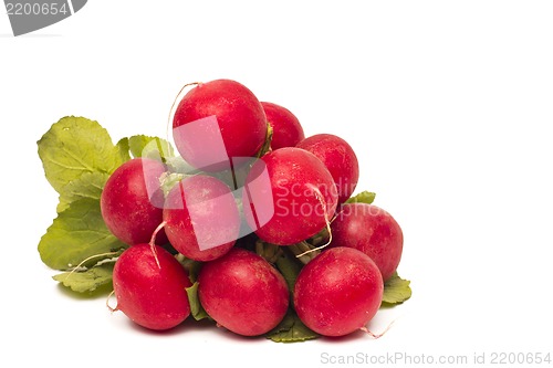 Image of Fresh red radish isolated on white background