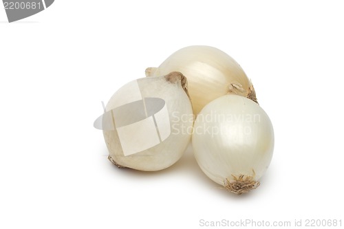 Image of Onion on white background