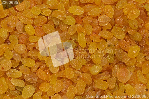 Image of Golden raisins background