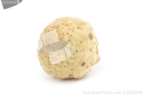 Image of Celery root isolated on white background.