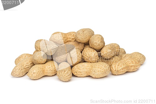 Image of Dried peanuts in closeup