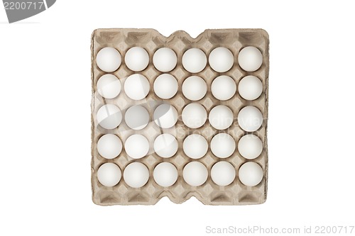 Image of twenty four of white eggs in box