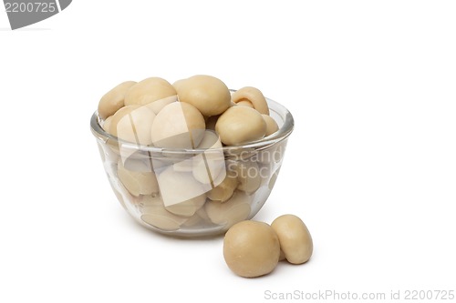 Image of A small dish of tasty canned sliced mushrooms.