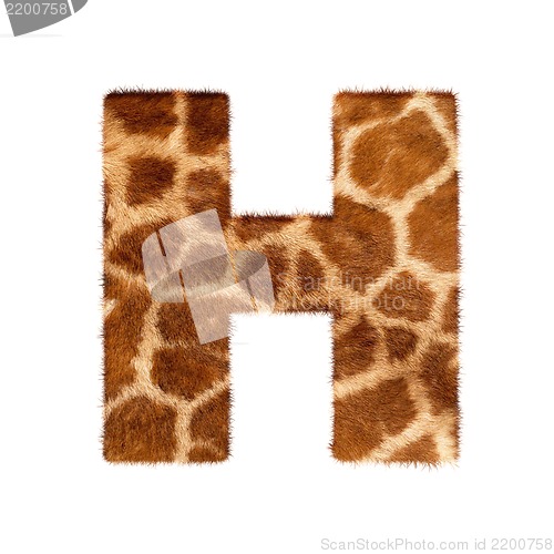 Image of Letter from giraffe style fur alphabet. Isolated on white background. With clipping path.