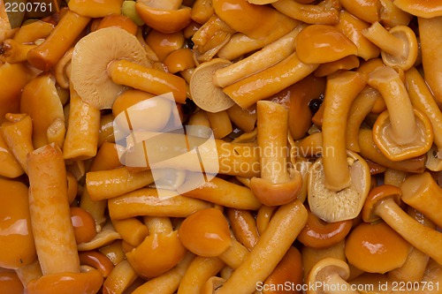 Image of marinated mushrooms background