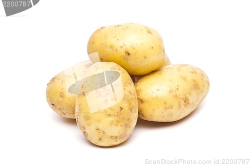 Image of New potato isolated on white background close up