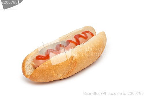 Image of hot dog over white background