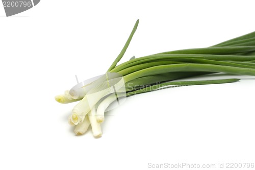 Image of Eight ripe, beautiful spring onions on a white background.