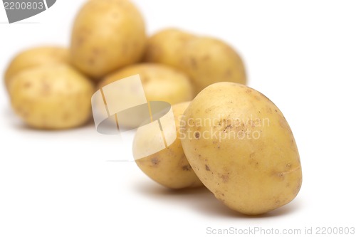 Image of potato isolated on white background close up