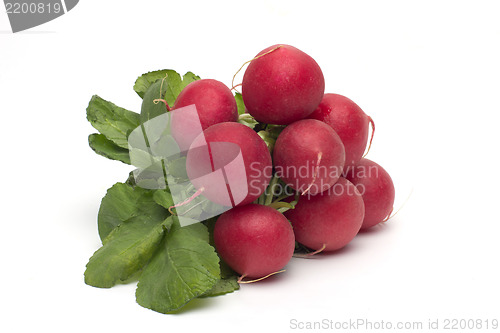 Image of Fresh red radish isolated on white background