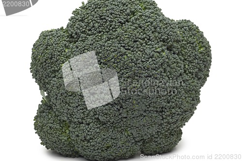 Image of Broccoli isolated on white background