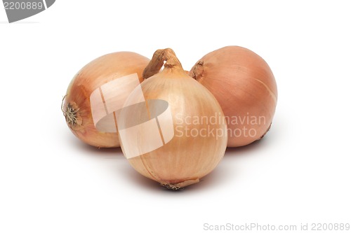 Image of Ripe onion on a white background