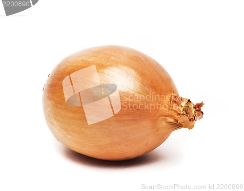 Image of Ripe onion on a white background