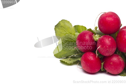 Image of fresh radish isolated