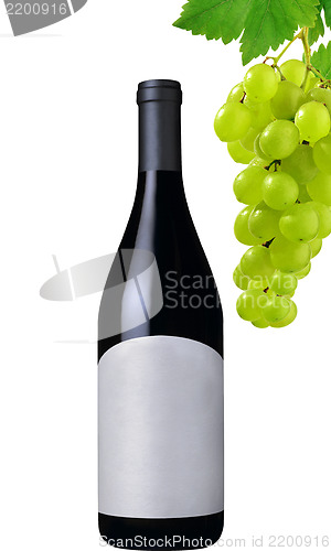 Image of wine bottle and grapes isolated on white background