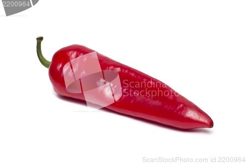 Image of red pepper on white background