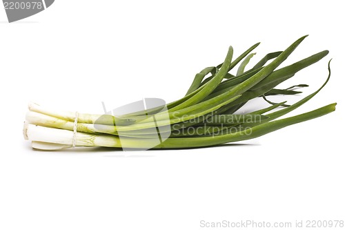 Image of Green Onion - Natural food for health