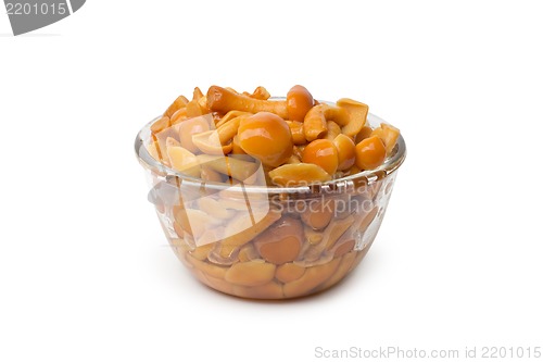 Image of A small dish of tasty canned sliced mushrooms.