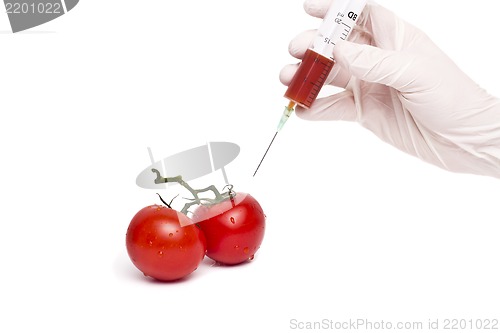 Image of Gmo product concept: Tomato injection