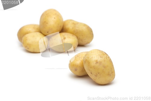 Image of potato isolated on white background close up