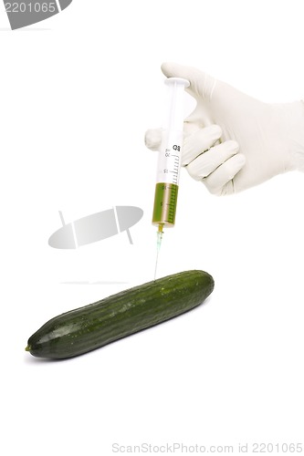Image of Bio genetics research of food , modified cucumber with syringe