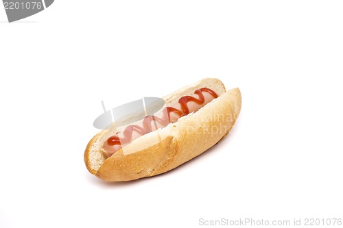 Image of hot dog over white background