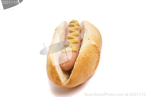 Image of An old-fashioned hot dog with mustard