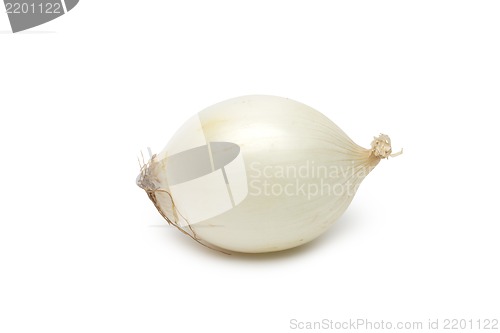 Image of Onion on white background