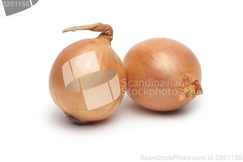 Image of Ripe onion on a white background