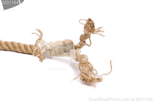 Image of ship rope and knot isolated on white background