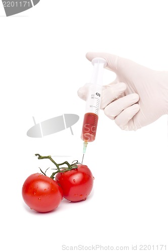 Image of Gmo product concept: Tomato injection