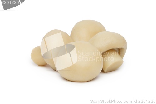 Image of Marinated mushroom isolated on white