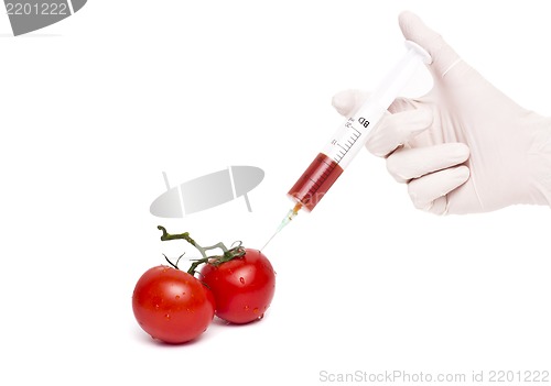 Image of Gmo product concept: Tomato injection