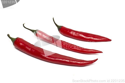 Image of red hot chili pepper isolated on a white background