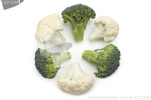 Image of Broccoli isolated on white background