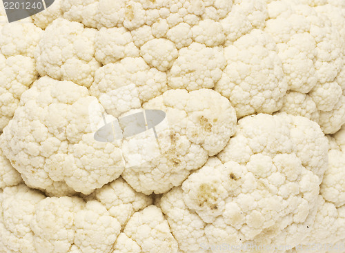 Image of Fresh cauliflower texture