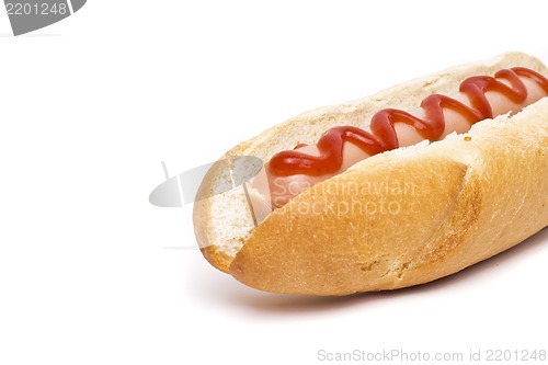 Image of hot dog over white background