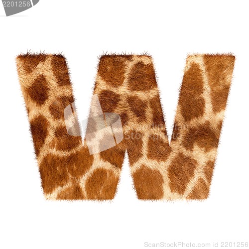 Image of Letter from giraffe style fur alphabet. Isolated on white background. With clipping path.