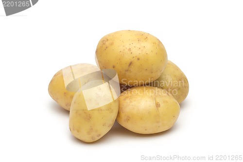 Image of potato isolated on white background close up