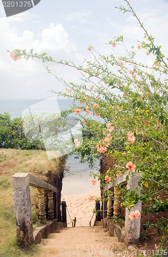Image of stairway entry to sandy beach  flowers Caribbean Sea Little Corn