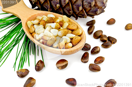 Image of Nuts of cedar  in a wooden spoon and a bump