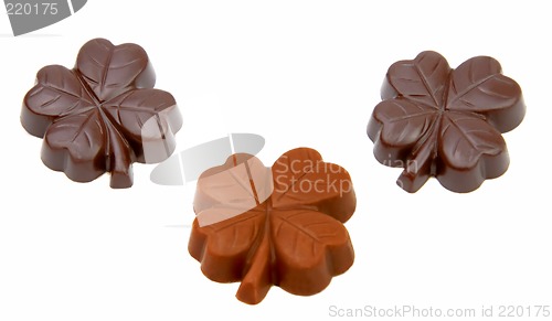 Image of Chocolate clovers