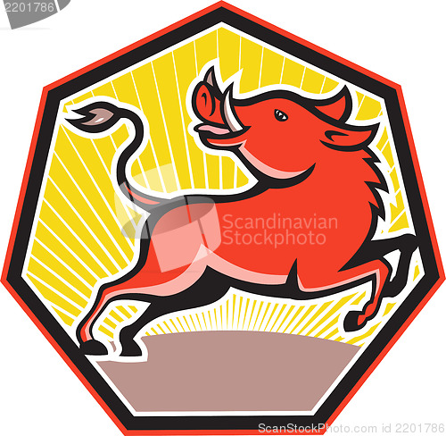 Image of Wild Pig Razorback Hog