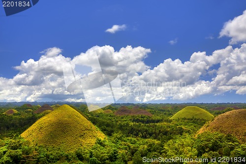 Image of Chocolate Hills