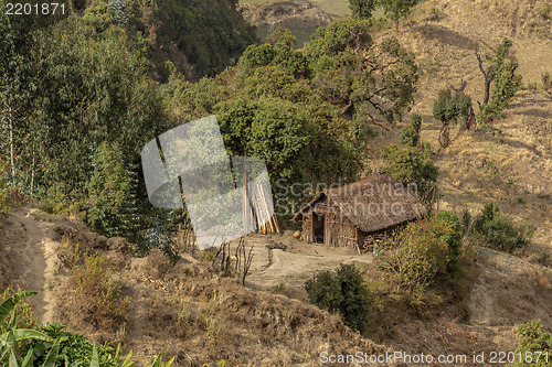 Image of Tatched roof huts